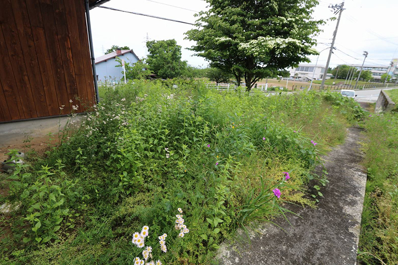 魚津市、滑川市の草刈り・除草